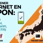 como tener internet en japon esim sim pocket wifi
