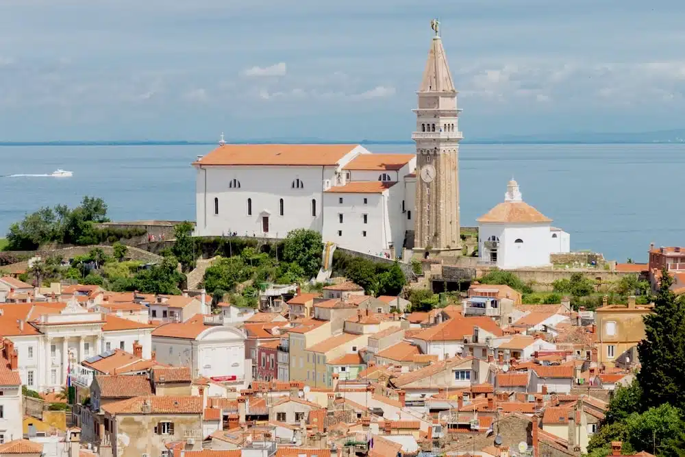 imprescindibles piran