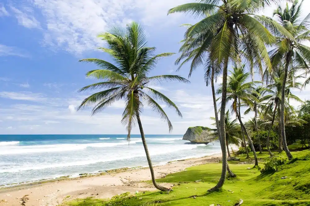 mejores seguros de viaje a barbados